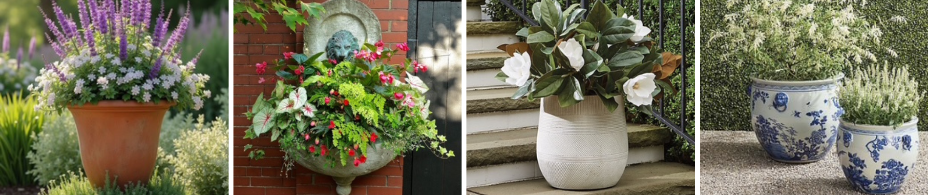 Container Plantings for Spring